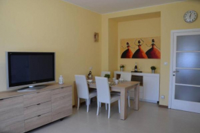 Vicinanze CityLife spazioso appartamento
